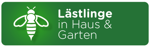 Lästlinge